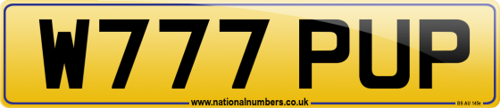 W777 PUP