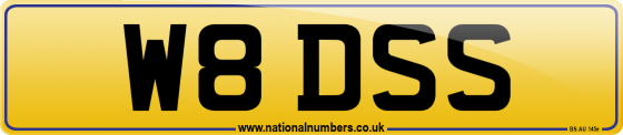 W8 DSS