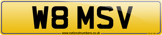 W8 MSV