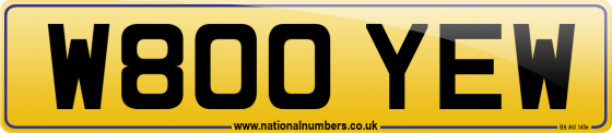 W800 YEW