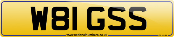 W81 GSS