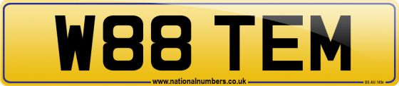 W88 TEM