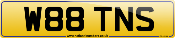 W88 TNS
