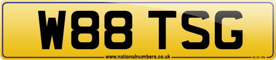 W88 TSG