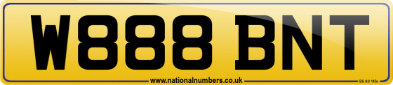 W888 BNT