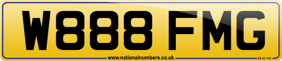 W888 FMG
