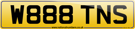 W888 TNS