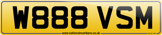 W888 VSM