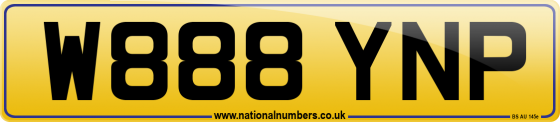W888 YNP