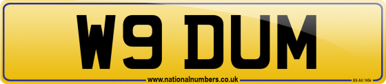 W9 DUM