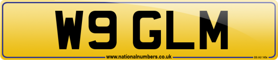 W9 GLM