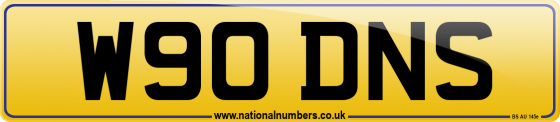 W90 DNS