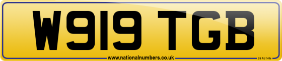 W919 TGB