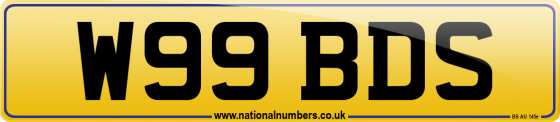 W99 BDS