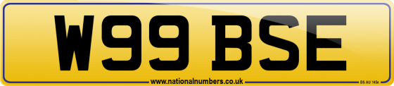 W99 BSE