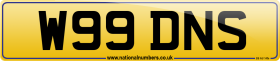 W99 DNS