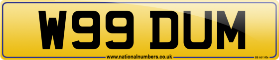 W99 DUM