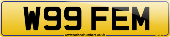 W99 FEM