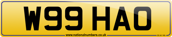 W99 HAO