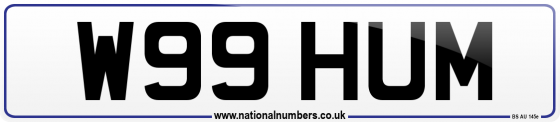 W99 HUM