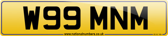 W99 MNM