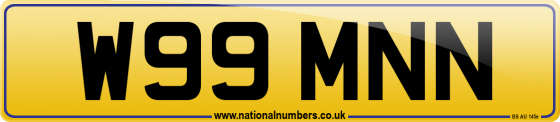 W99 MNN