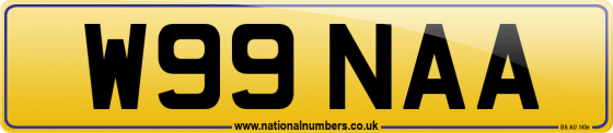 W99 NAA