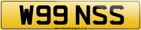 W99 NSS