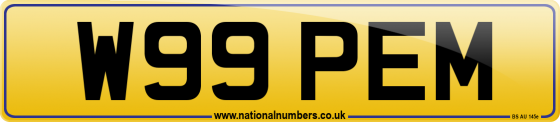 W99 PEM