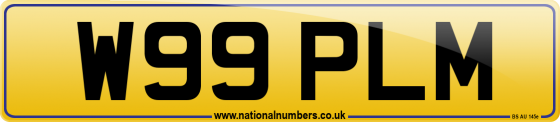 W99 PLM