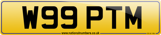 W99 PTM