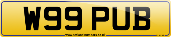 W99 PUB