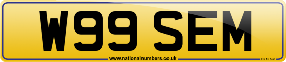 W99 SEM