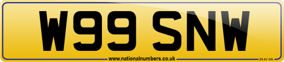 W99 SNW