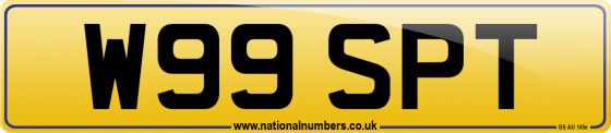 W99 SPT