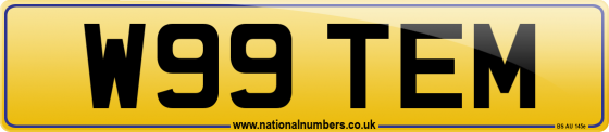W99 TEM
