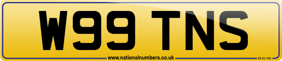 W99 TNS