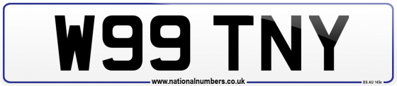 W99 TNY