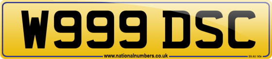 W999 DSC