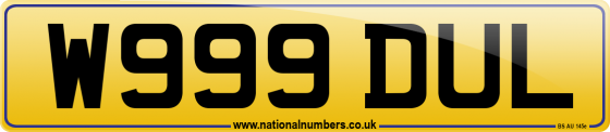 W999 DUL