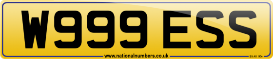 W999 ESS