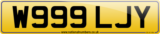 W999 LJY