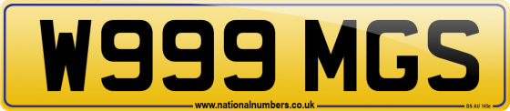 W999 MGS