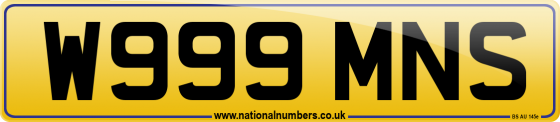 W999 MNS