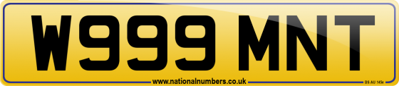 W999 MNT