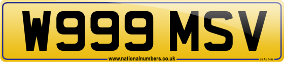 W999 MSV