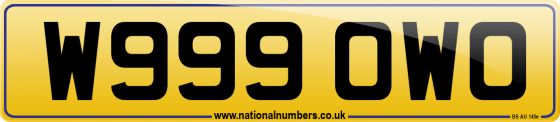 W999 OWO
