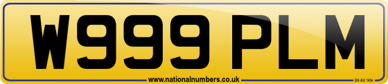 W999 PLM