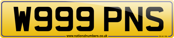 W999 PNS