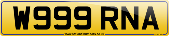 W999 RNA